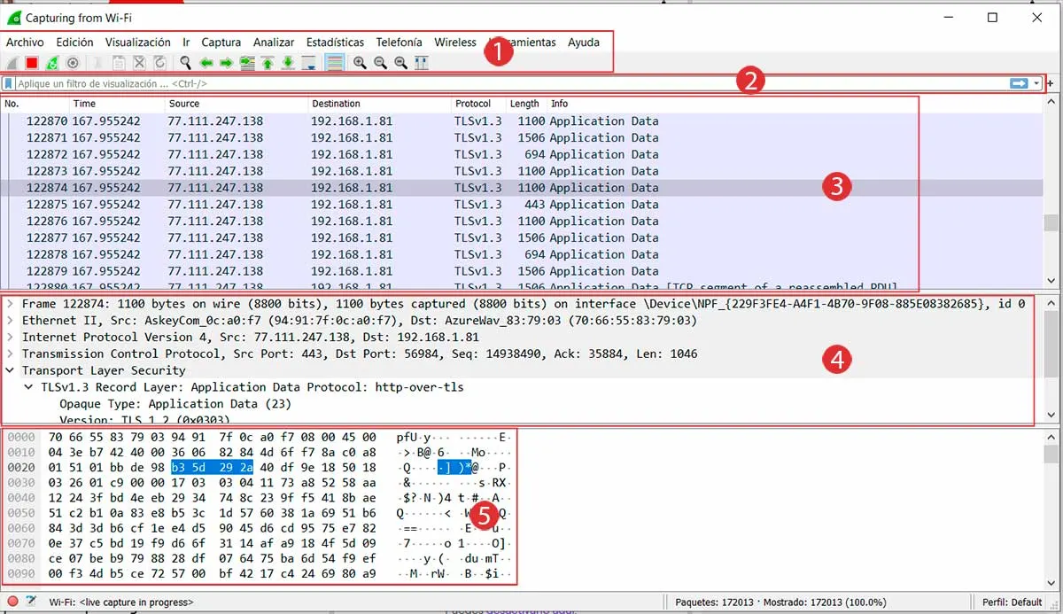 Wireshark